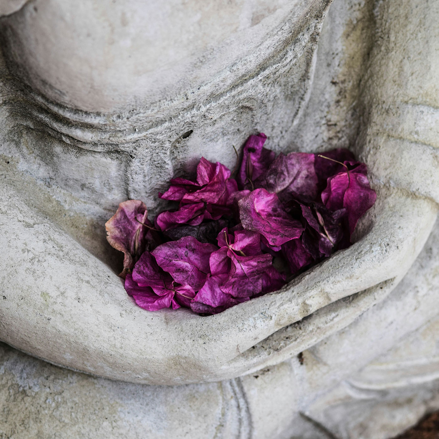 Home - Angela Friedrich, Yoga in Stein