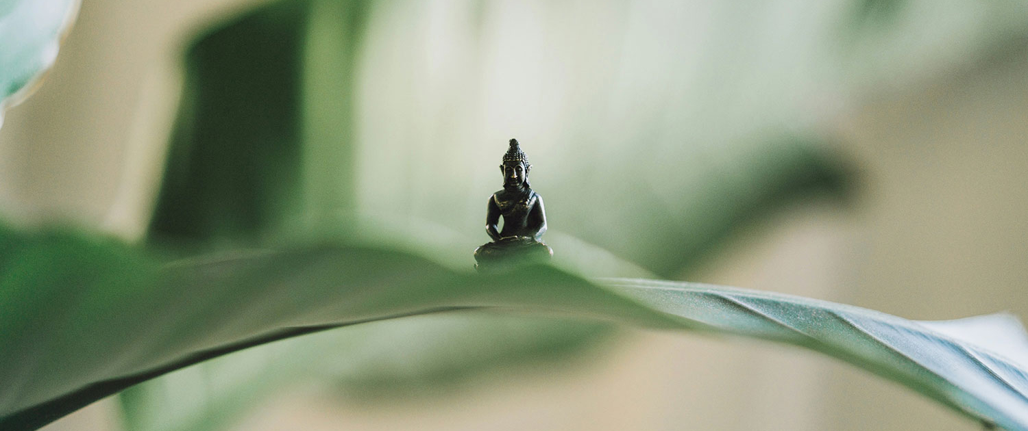 Angela Friedrich, Yoga in Stein